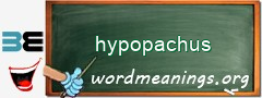 WordMeaning blackboard for hypopachus